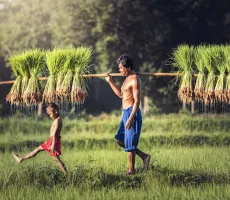 Thailand har blivit mer exotiskt