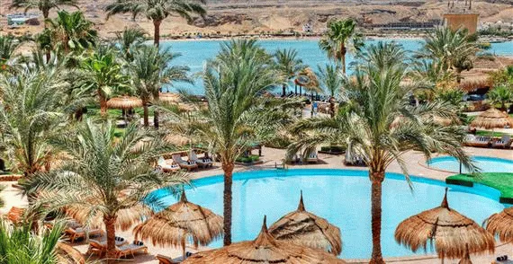 Bilder från hotellet Albatros Sharm Resort - nummer 1 av 17
