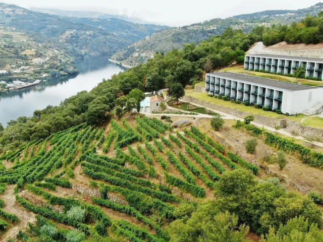 Bilder från hotellet Douro Palace Hotel Resort SPA - nummer 1 av 10