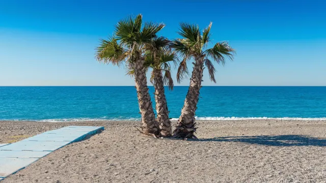 Bilder från hotellet Caleta Bay - nummer 1 av 10