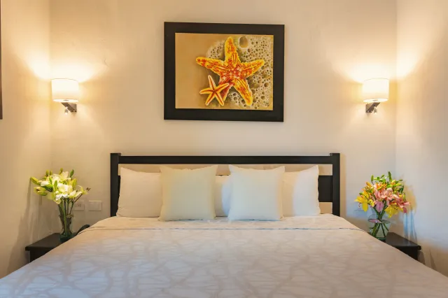 Bilder från hotellet Villa Palmeras - nummer 1 av 100