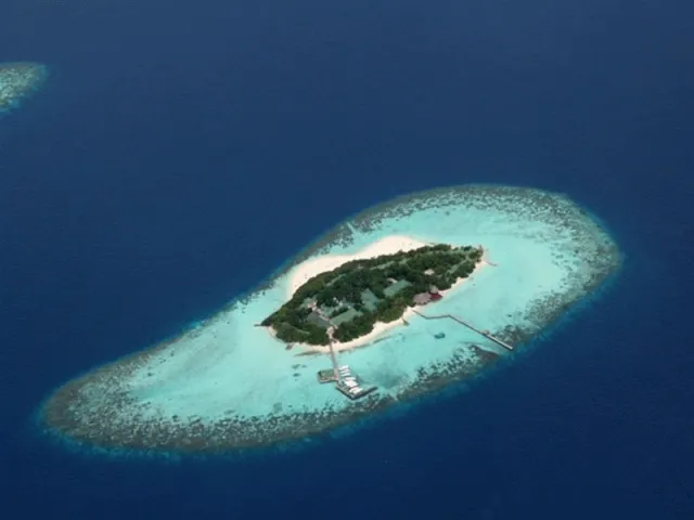 Bilder från hotellet Eriyadhoo Island Resort - nummer 1 av 8