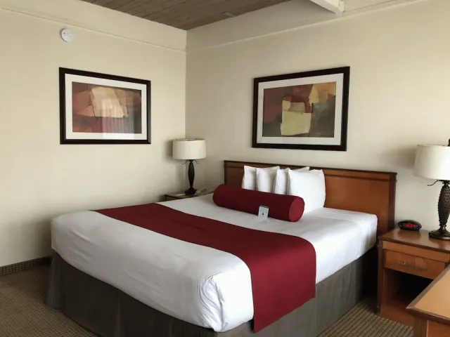 Bilder från hotellet Mikado Hotel - nummer 1 av 33