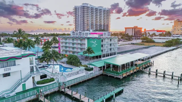Bilder från hotellet Palm Tree Club - nummer 1 av 100