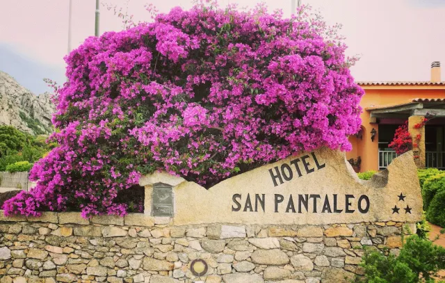 Bilder från hotellet Hotel San Pantaleo - nummer 1 av 31