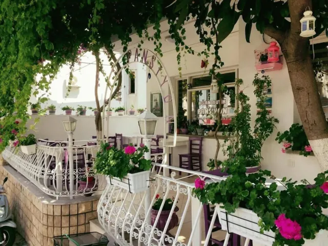 Bilder från hotellet Agan Pansiyon - nummer 1 av 40