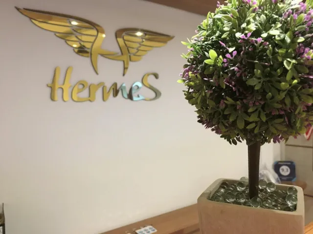 Bilder från hotellet Hotel Hermes - nummer 1 av 10