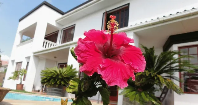 Bilder från hotellet Helderberg Guesthouse - nummer 1 av 10