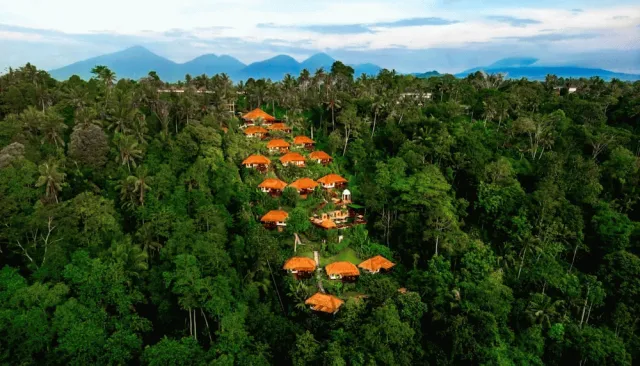 Bilder från hotellet Nandini Jungle by Hanging Gardens - nummer 1 av 100