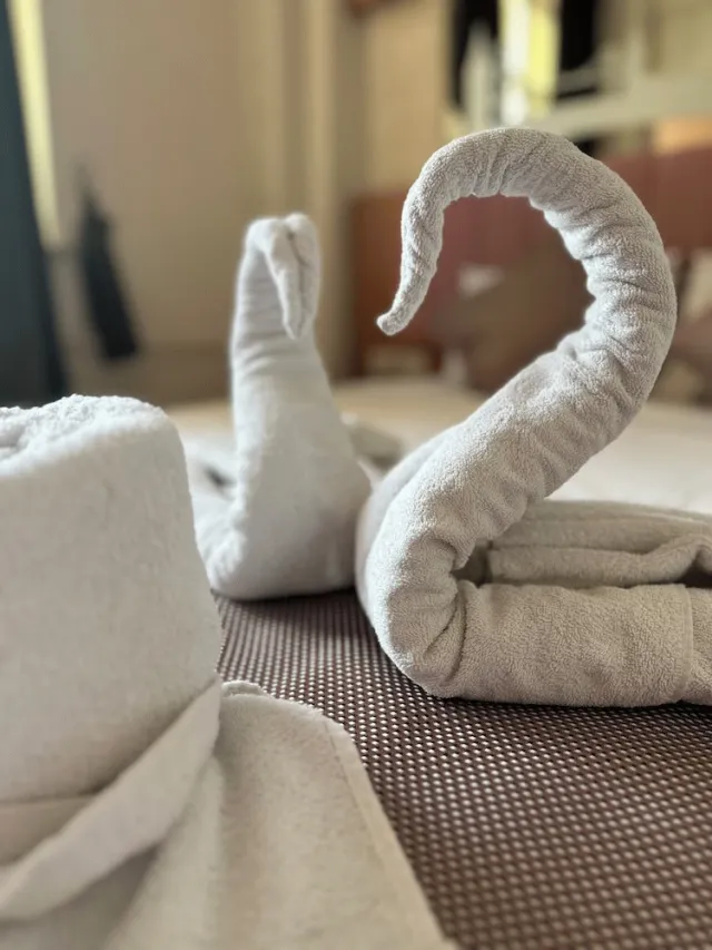 Bilder från hotellet Divas Hotel - nummer 1 av 67