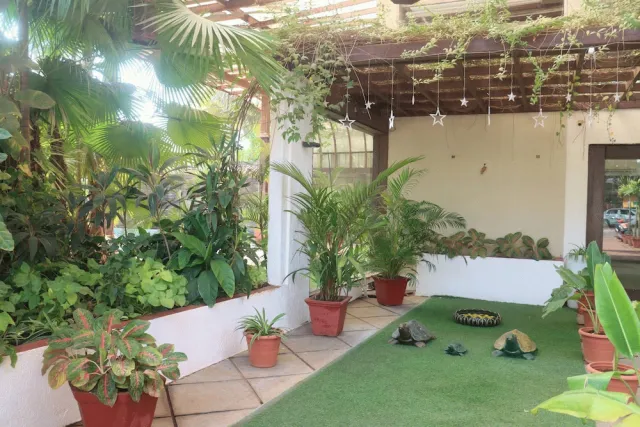 Bilder från hotellet Turtle Beach Resort - Morjim - nummer 1 av 69