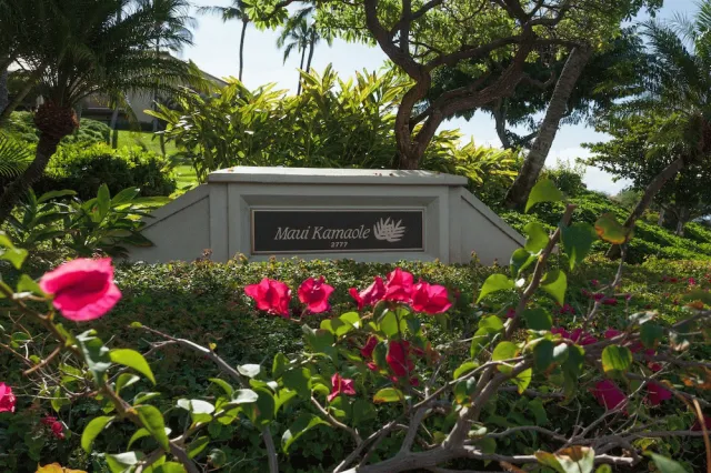 Bilder från hotellet Maui Kamaole - nummer 1 av 41