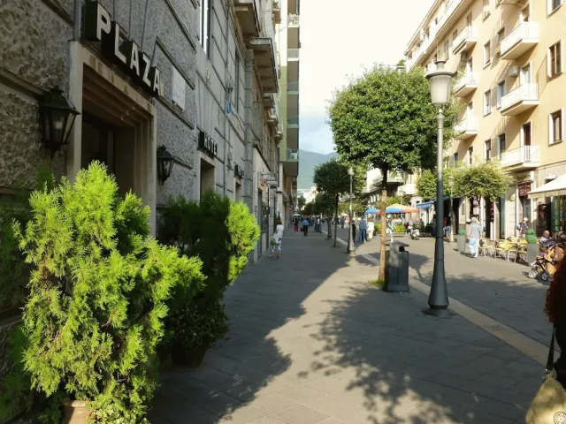 Bilder från hotellet Hotel Plaza - nummer 1 av 37