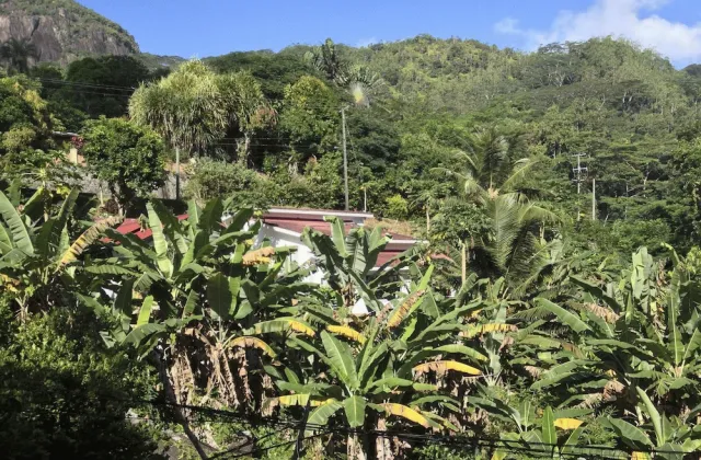 Bilder från hotellet Papaya Guesthouse - nummer 1 av 30
