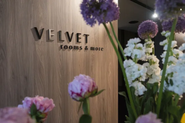Bilder från hotellet Velvet rooms & more - nummer 1 av 29