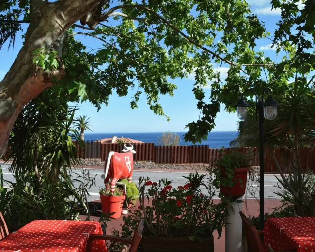 Bilder från hotellet Le Patio - nummer 1 av 61