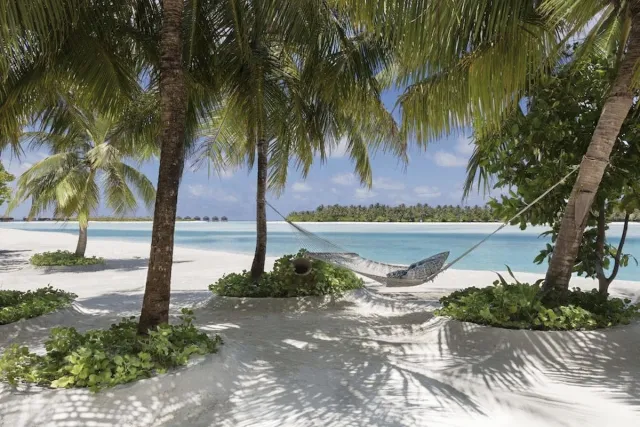 Bilder från hotellet Naladhu Private Island Maldives - nummer 1 av 10