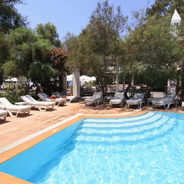 Bilder från hotellet Okaliptus Hotel - nummer 1 av 15