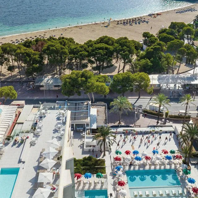 Bilder från hotellet Msh Mallorca Senses Hotel Palmanova - nummer 1 av 29