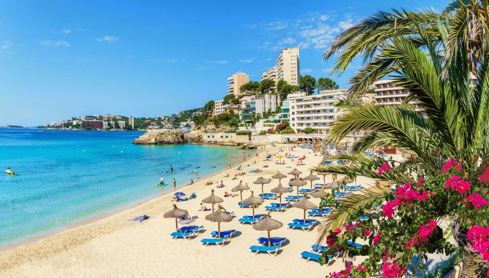 I Cala Mayor kan du bo på stranden med kort väg till Palma stad 
